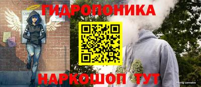 стаф Заводоуковск