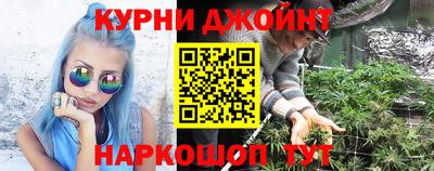 стаф Заводоуковск