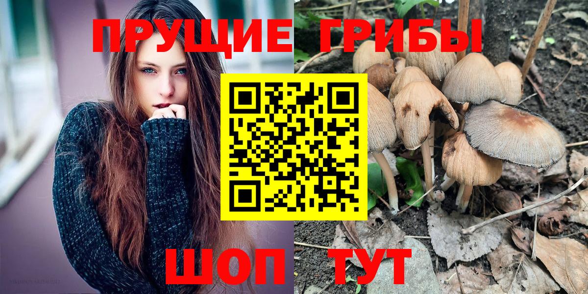 Кушва  Псилоцибиновые грибы мицелий  Вход с VPN 